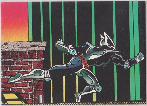 ShadowHawk Collector Card #46